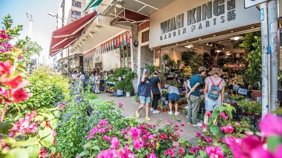 People stalling through Mong Kok Flower Market near Park Hotel Hong Kong