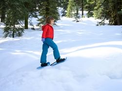 Child walking on the snow wearing snowshoes in the forest surrounding Granlibakken