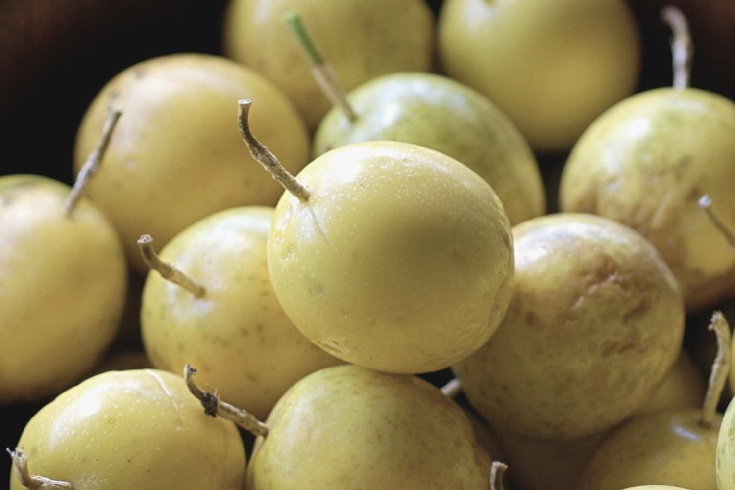 Close-up of passion fruits at Waikiki Resort Hotel