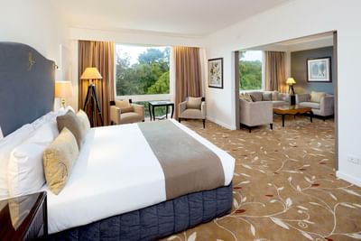 A room with one bed and a view at Royal on the Park hotel