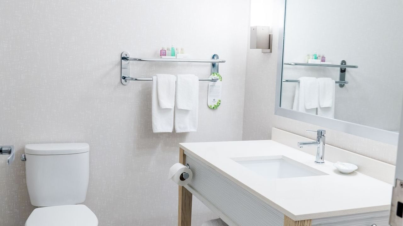 Sink and toilet in bathroom