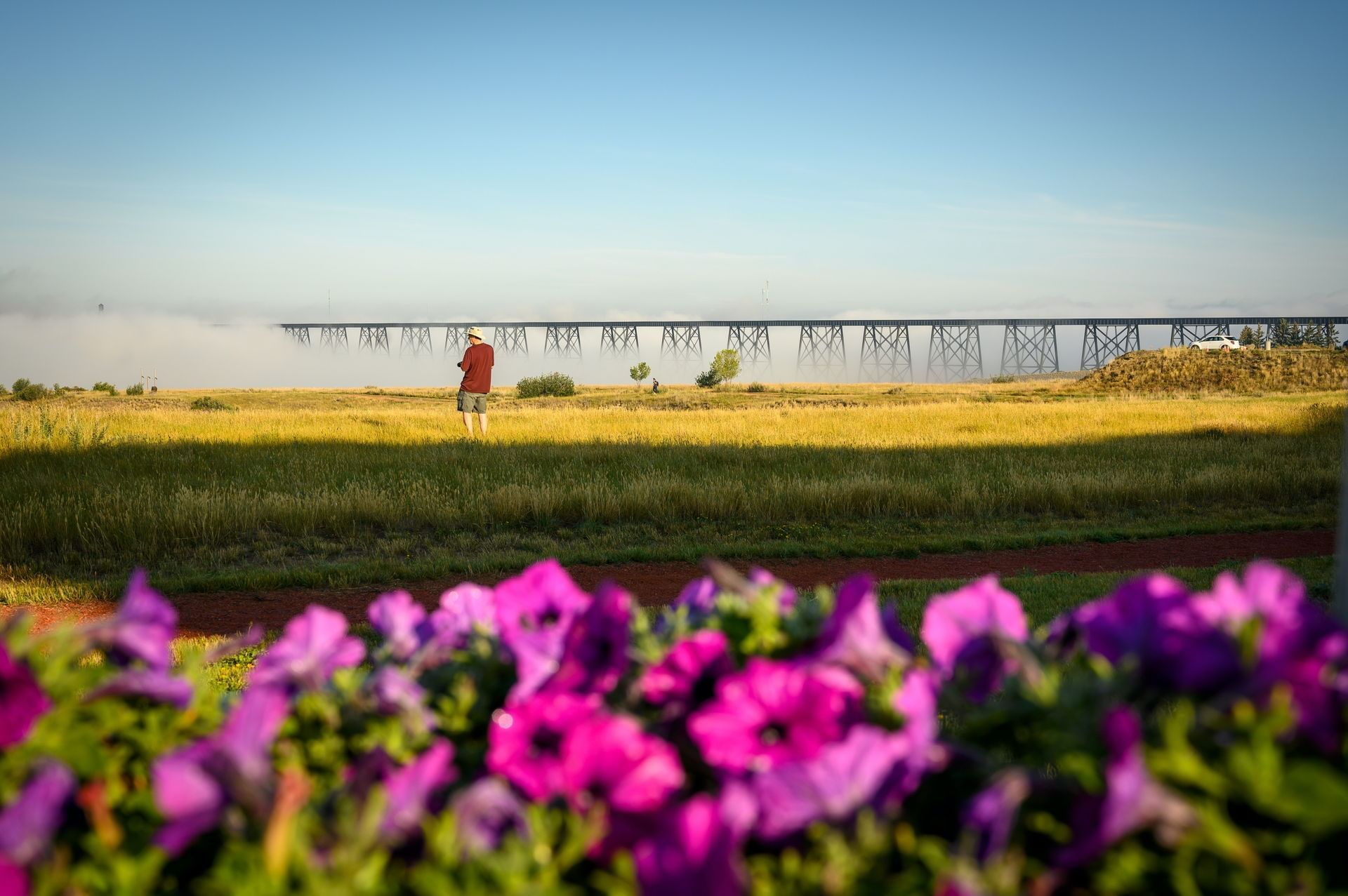 Pink flower with background of man in field