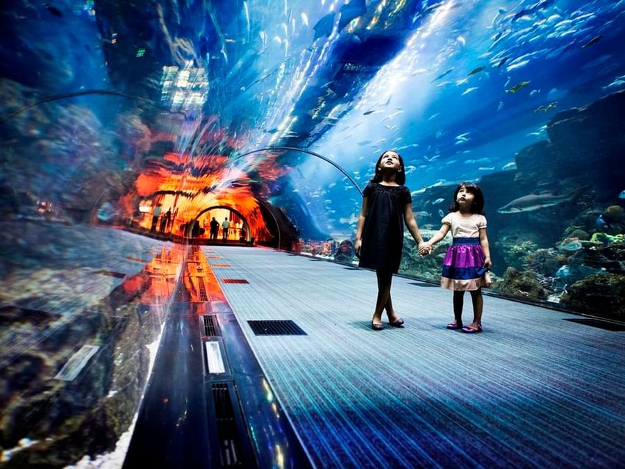 Two kids walking in the Family Dubai Aquarium near DAMAC Hotels & Resorts, the best family hotels in Dubai