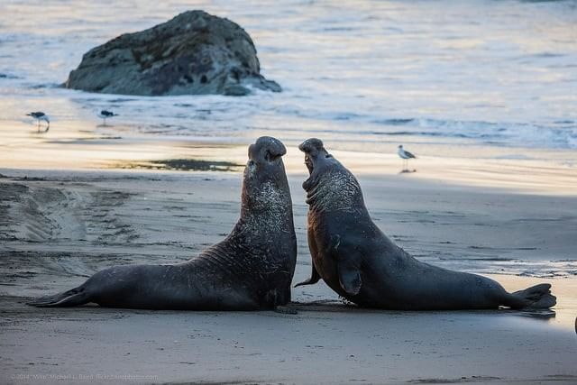 Sea Otter Inn — photo 11 of 60