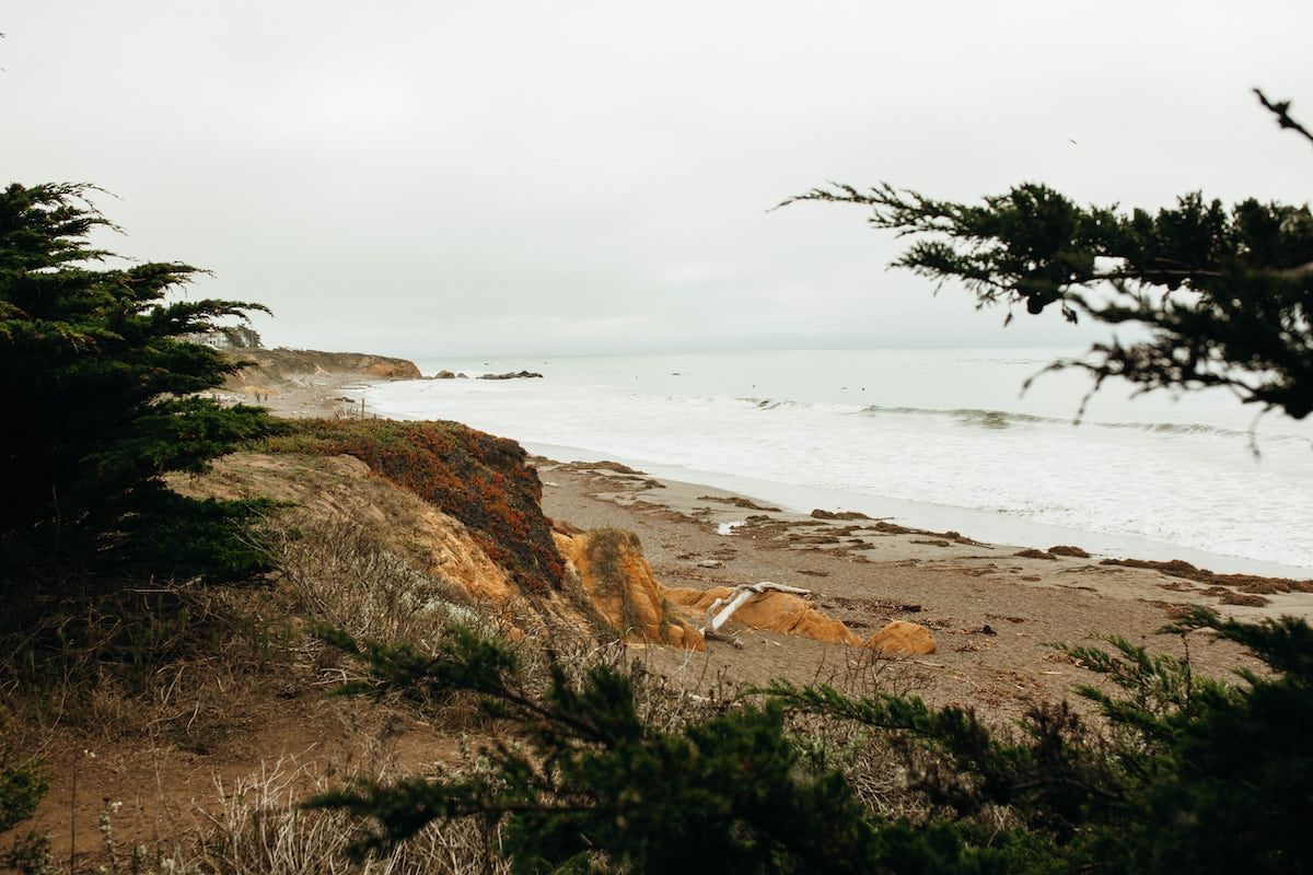 Cambria CA Hotel Specials & Deals - Sea Otter Inn