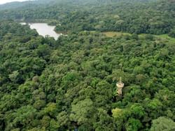 Aerial view of Panama rainforest near Gamboa Rainforest Resort