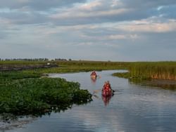 People kayaking in the river at Point Pelee National Park near Retro Suites Hotel