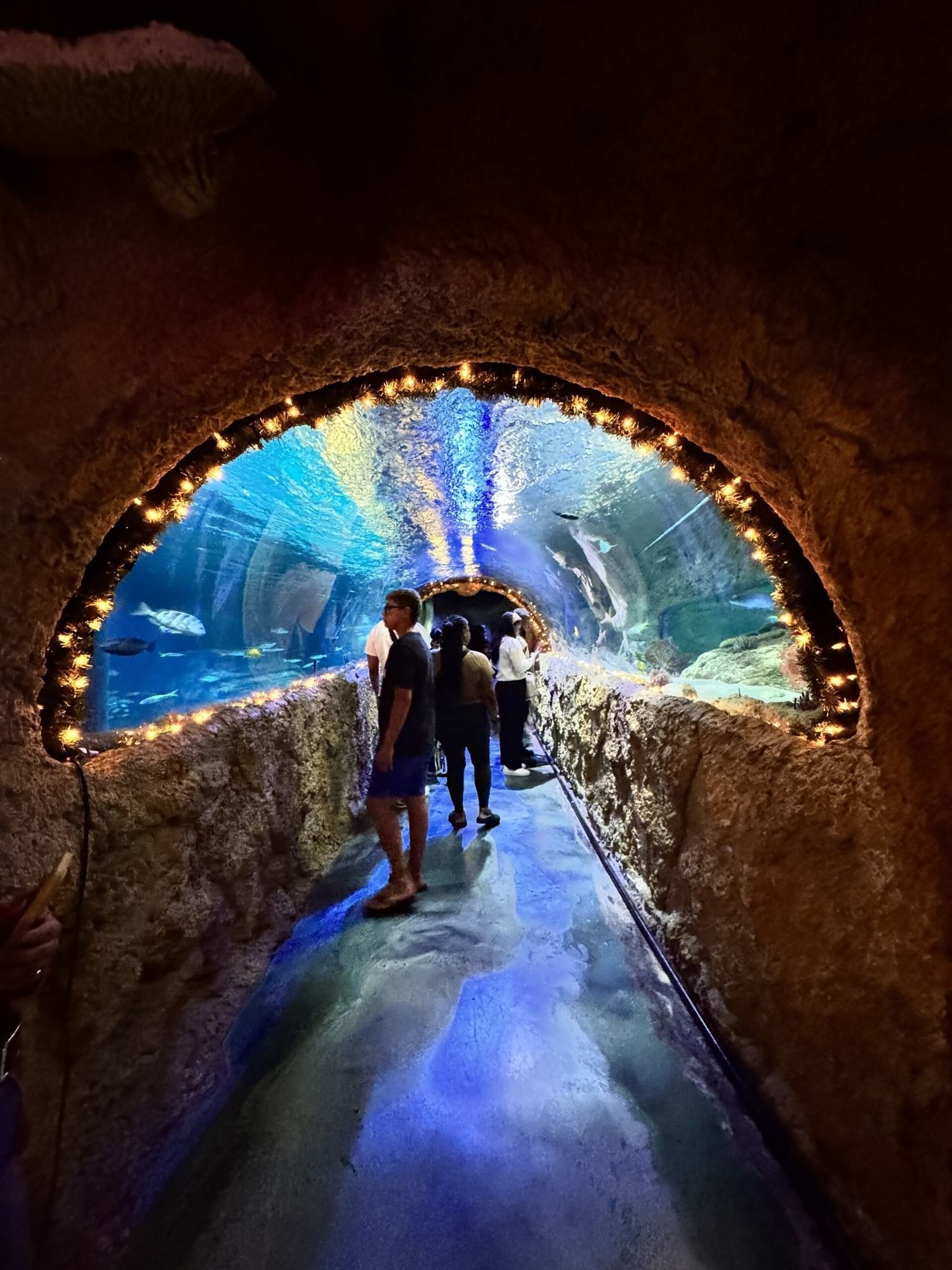 A dark cave-like tunnel leading to a curved glowing aquarium with several people standing beneath. 