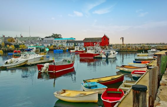 Boats parked on harbour near Beauport Hotel Gloucester