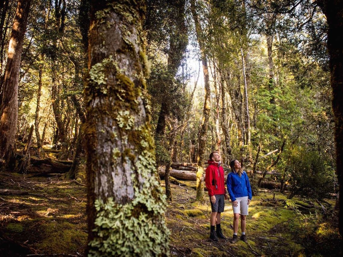Couple walking on the woods trails near Cradle Mountain Hotel 