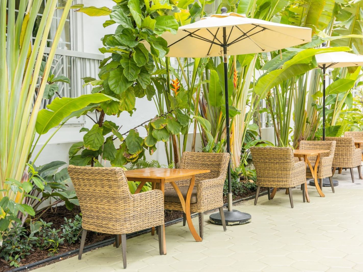 Outdoor dining area in The Garden with lush greenery at The Savoy On South Beach