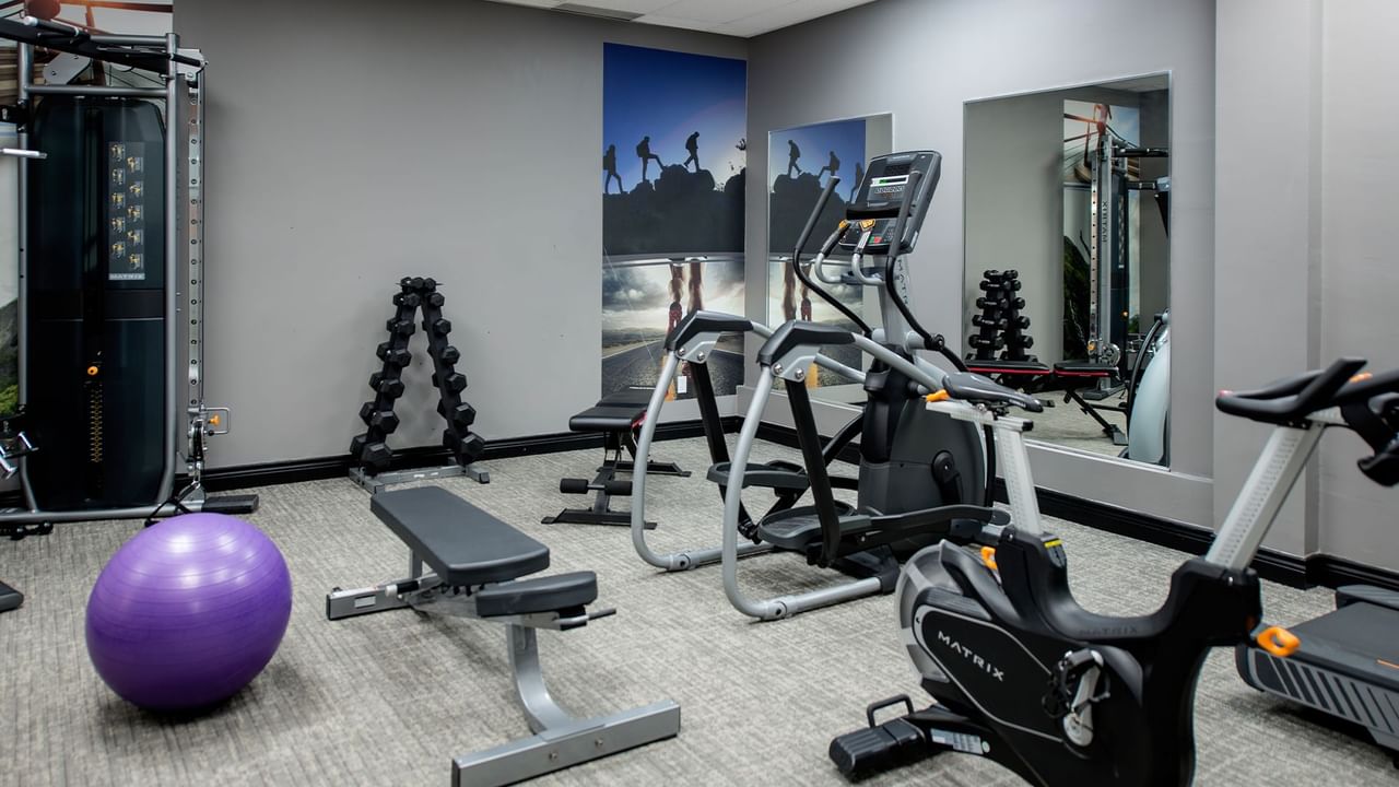 Hotel gym with weight machines, a stationary bike, and a medicine ball.