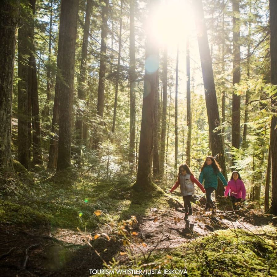 Three girls hiking in a forest with lush greenery near Blackcomb Springs Suites