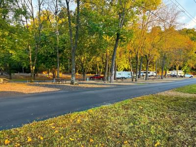 Campground featuring a paved road, trees with autumn leaves, and several parked RVs at Fall Creek Marina & Campground