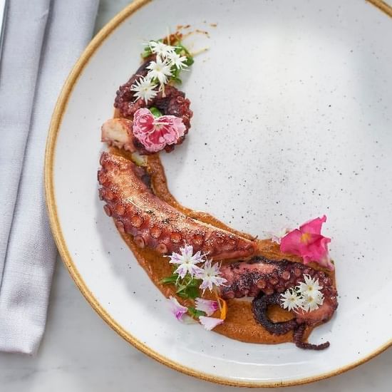 Close-up of Grilled Octopus served at Pullman Quay Grand Sydney