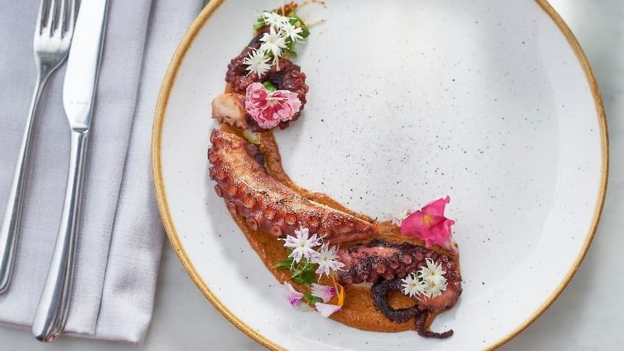 Close-up of Grilled Octopus served at Pullman Quay Grand Sydney