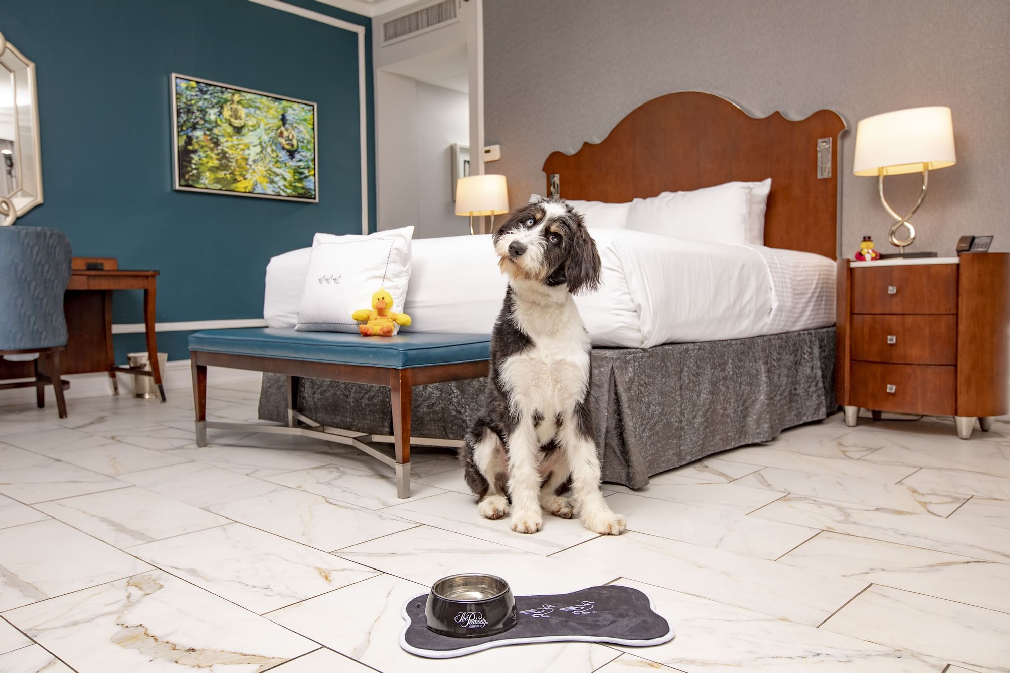 A dog by the bed in a room at The Peabody Memphis