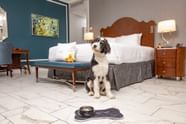 Pet Friendly Hotel Memphis TN The Peabody Memphis