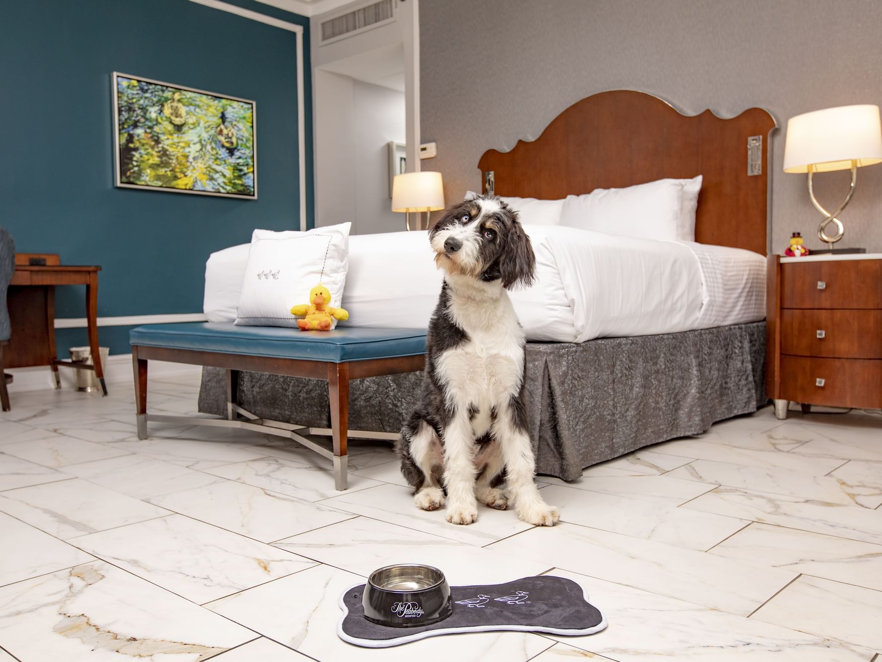 A dog beside the bed in a room at The Peabody Memphis