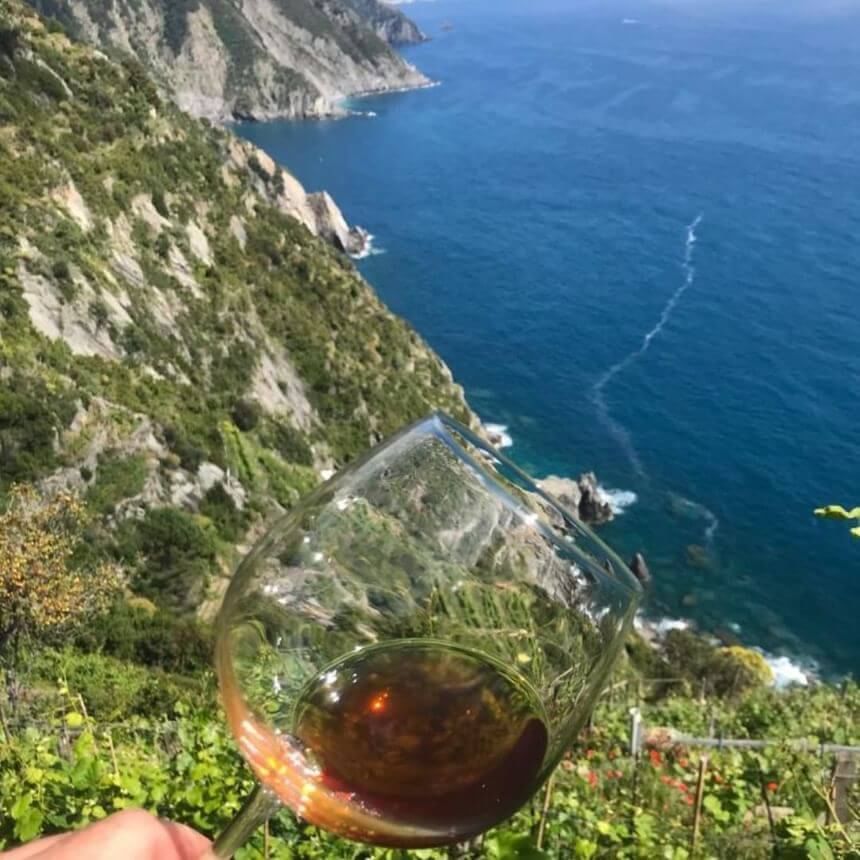 sciacchetra wine tasting in cinque terre