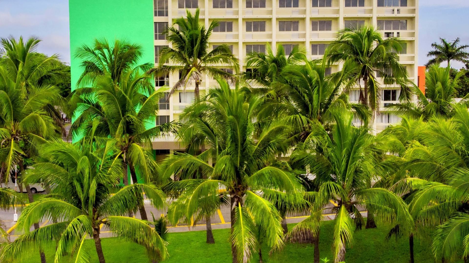 Exterior view of coconut plantation at Gamma Tampico
