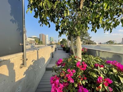 Detail at Las Suites Campos Eliseos in Mexico City