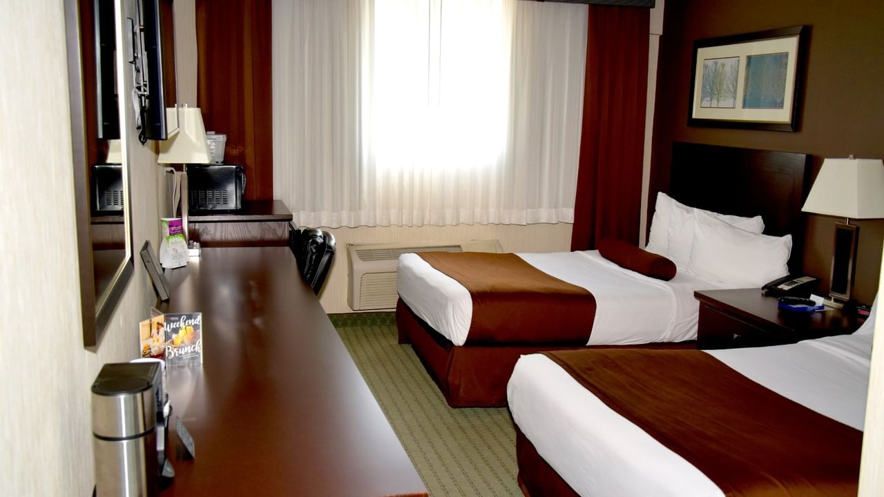 Two beds with white and brown sheets, desk, TV, and window with curtains in a hotel room.