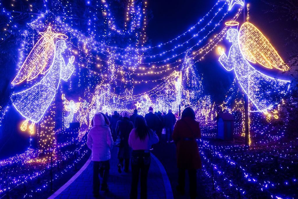 Lights at Cambria Pines | Moonstone Hotels - Cambria Pines Lodge