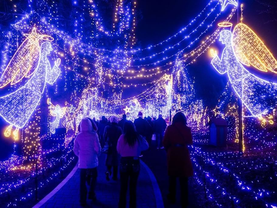 Cambria Christmas Lights 2026