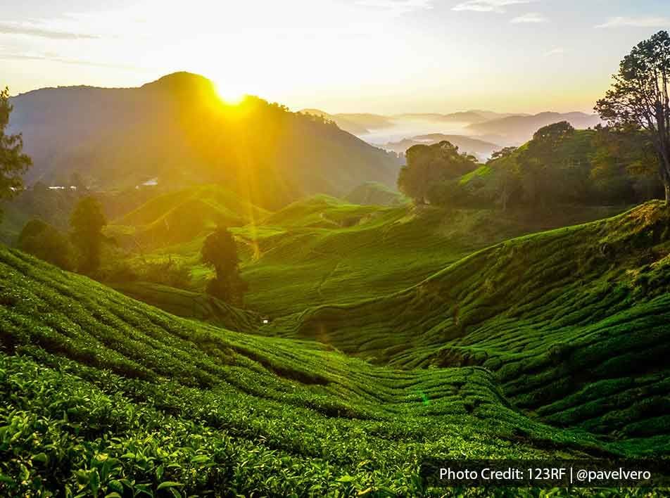 Enjoy amazing scenery and beautiful sunsets when you visit Cameron Highlands - Lexis Hibiscus
