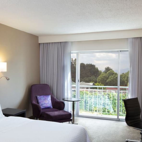 Interior of a room with a king bed and lounge at Fiesta Inn