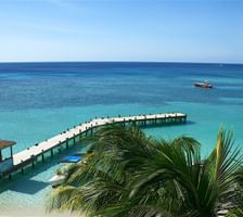 Gallery | Infinity Bay Spa & Beach Resort