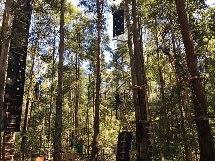 Activities in Treetops Adventure Park Central Coast near Pullman Magenta Shores