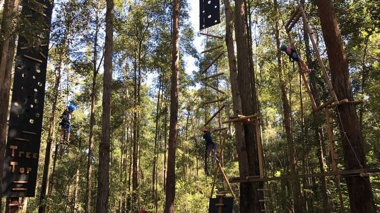 Activities in Treetops Adventure Park Central Coast near Pullman Magenta Shores