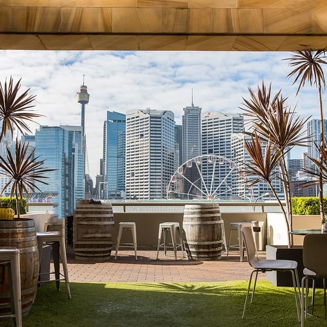 Ibis Sydney Darling Harbour Gallery | Sydney Darling Harbour Hotel