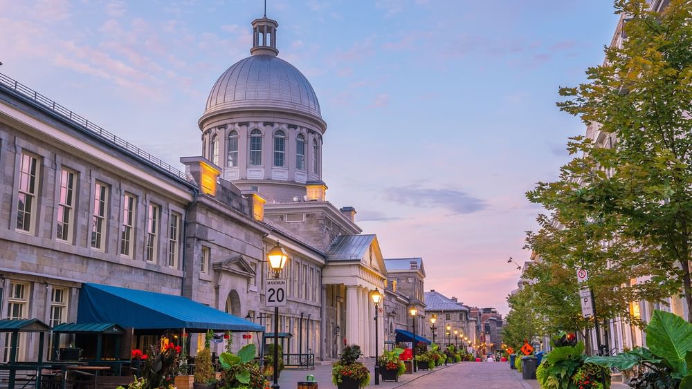 Une rue pittoresque de Montréal, avec un bâtiment surmonté d'un dôme et bordée de plantes en pot.