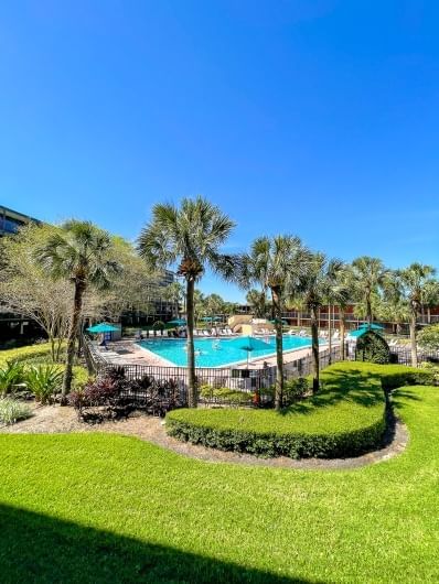 A turquoise blue pool surrounded by blue umbrellas, palm trees, and lush green grass. 