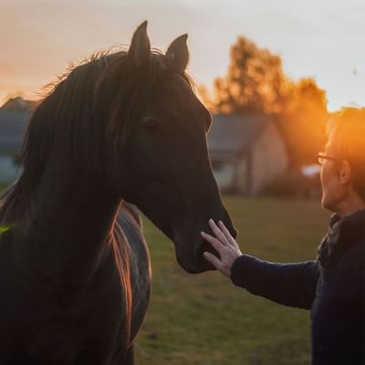 A man patting a horse's muzzle at Falkensteiner Balance Resort