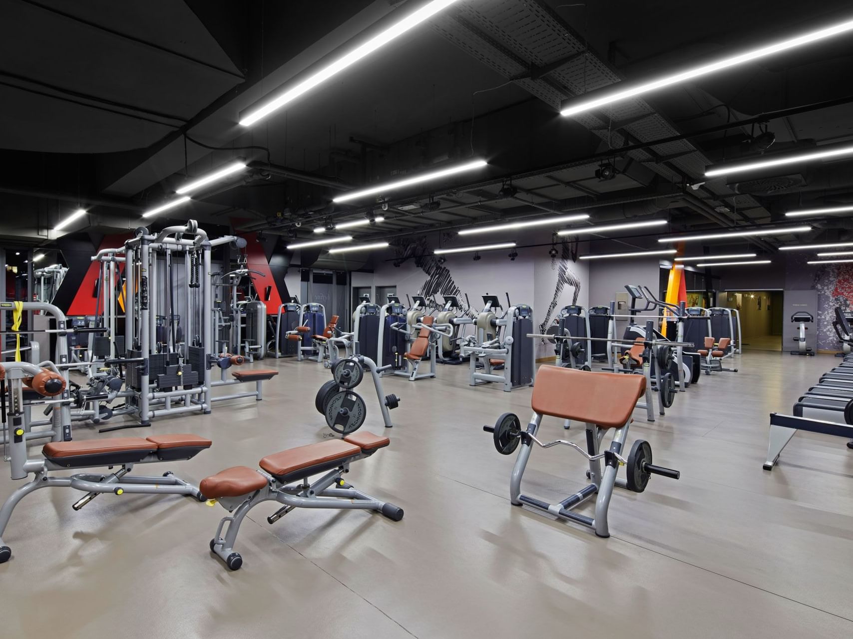 Modernes Fitnessstudio mit vielfältiger Ausstattung und heller Beleuchtung – Titanic Chaussee Berlin.