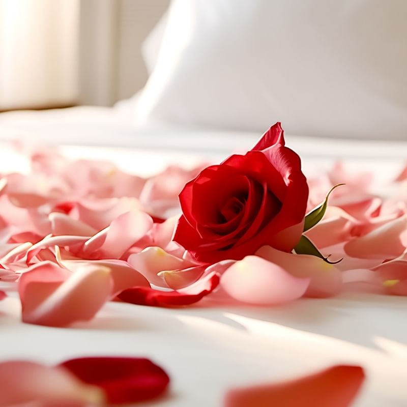 Red rose and petals on a bed showcasing Romance In Bloom offer.