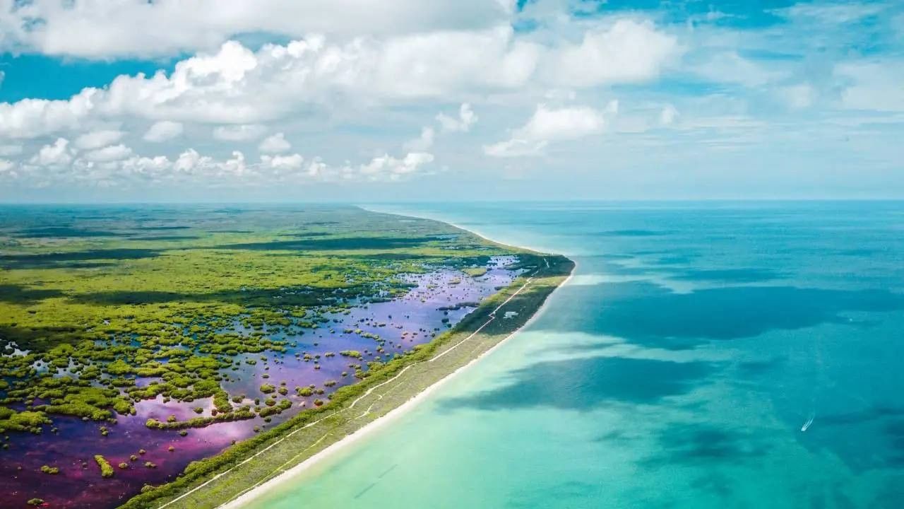 Pink water in a lagoon by a white beach under a blue sky surrounding a forest at Camino Real Pedregal Mexico