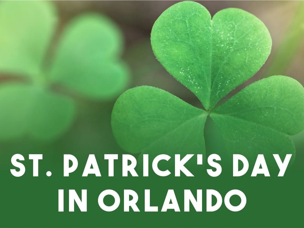 ST.Patricks Day in Orlando poster used at Lake Buena Vista Resort Village & Spa