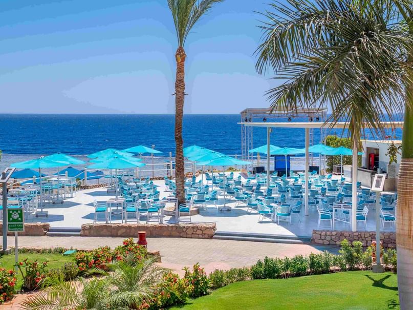 Beachside resort patio with blue tables, chairs, umbrellas, and palm trees overlooking the ocean.