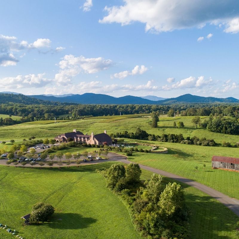 Early Mountain Vineyards with lush landscape near Inn at Willow Grove