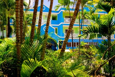 Hotel exterior view through palm trees at Dover Beach Hotel