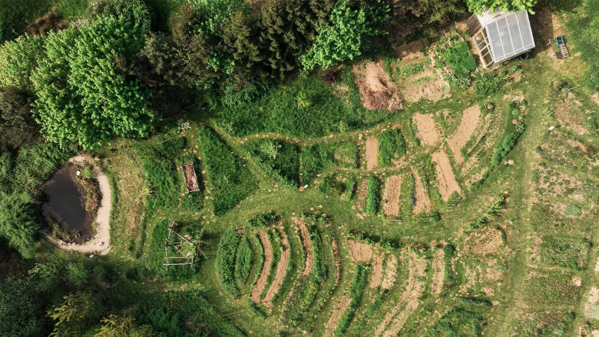 Aerial view of a garden with various beds, a small pond, and a solar panel structure.