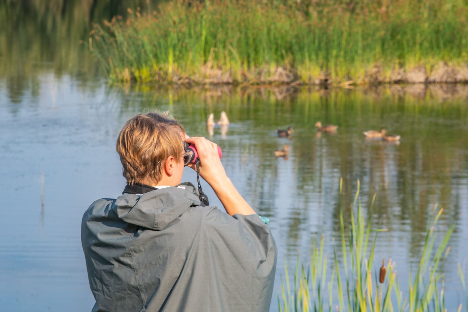 Hotel Jobs in Fairbanks Alaska Fountainhead Hotels