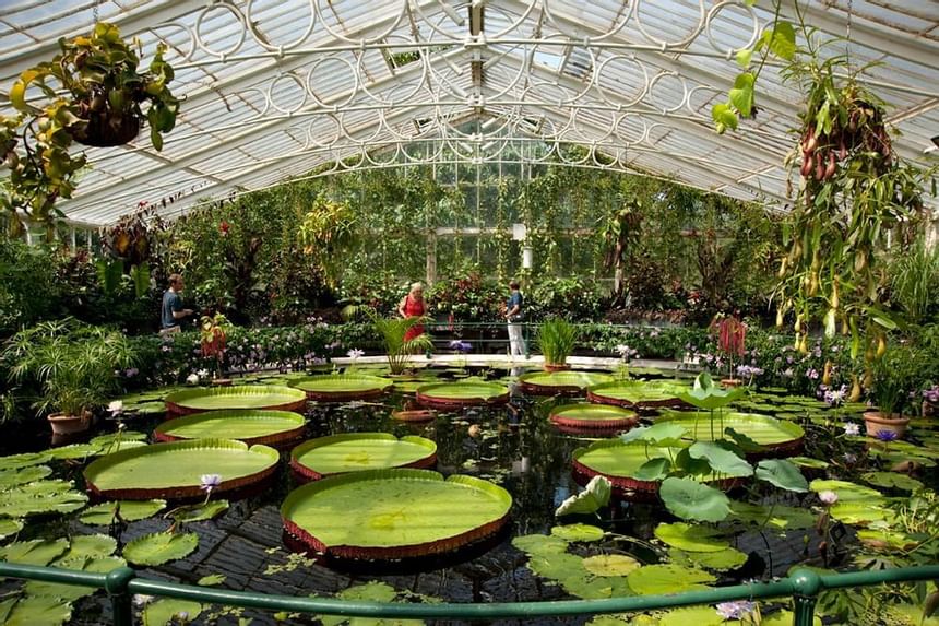 View of Royal Botanic Gardens pond near Richmond Hill Hotel