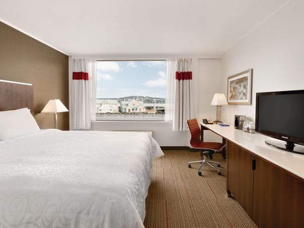 Bed and TV in hotel room with window