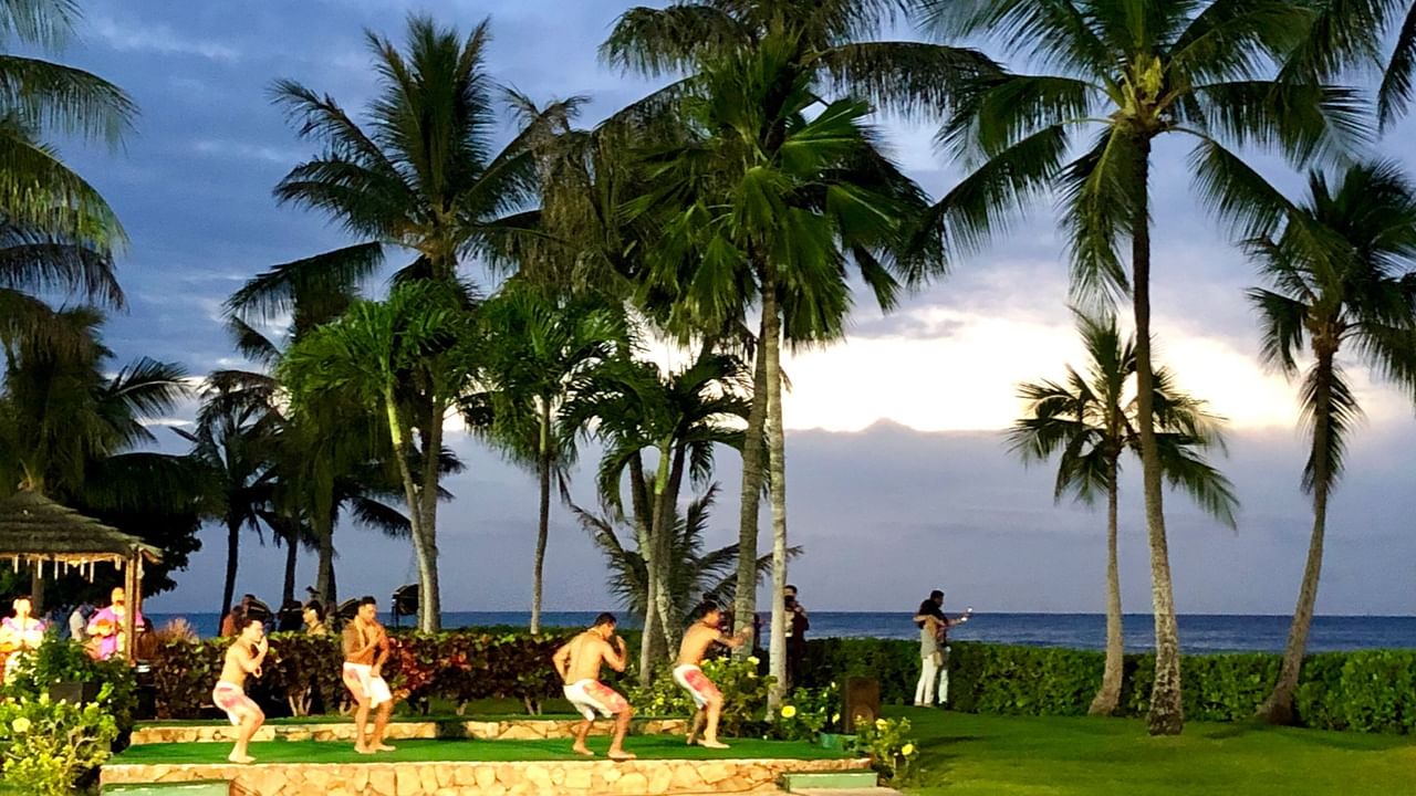 Traditional Hawaiian dancers performing outdoors on grass beneath palm trees with ocean view.